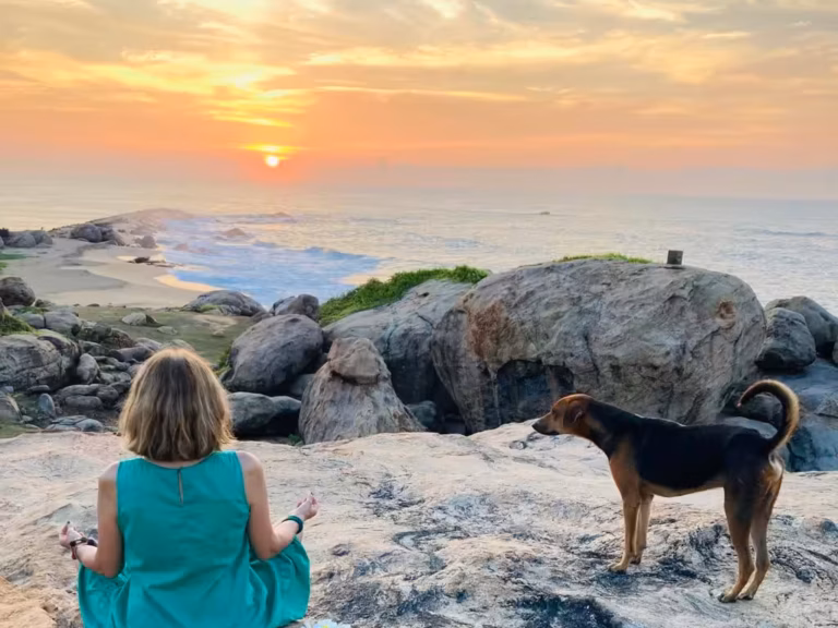 8e157a8d-69a3-4b52-a168-a360c62fd38f